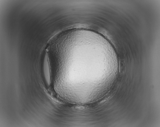 X0000073980253200609181724