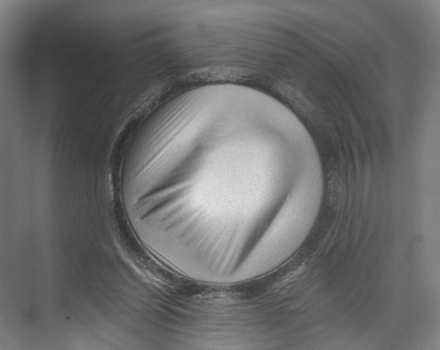 X0000073980254200609181724