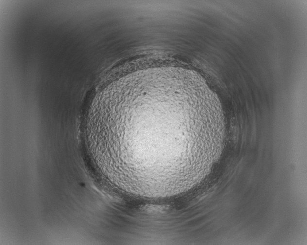 X0000073980255200609181724