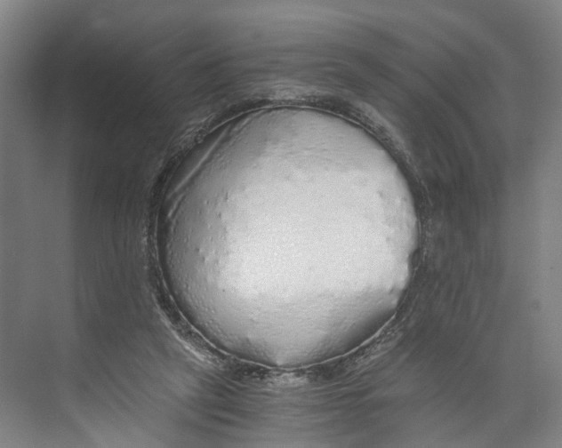 X0000073980257200609181724