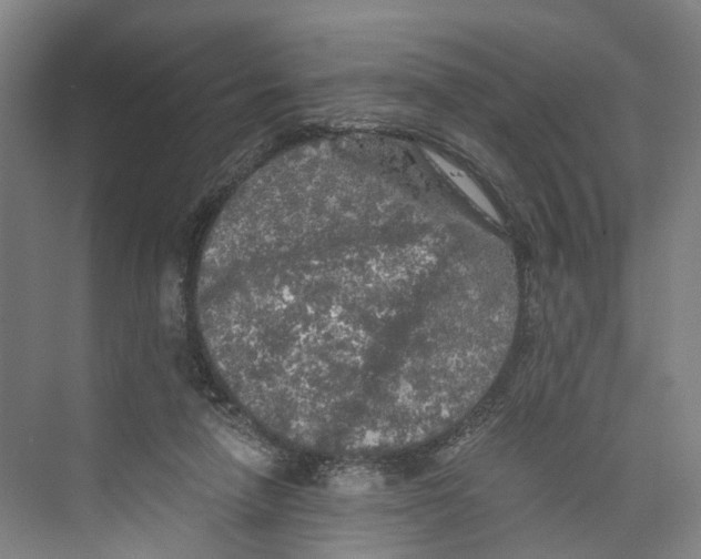 X0000073980258200609181724