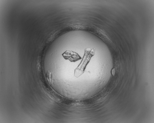 X0000073980259200609181724