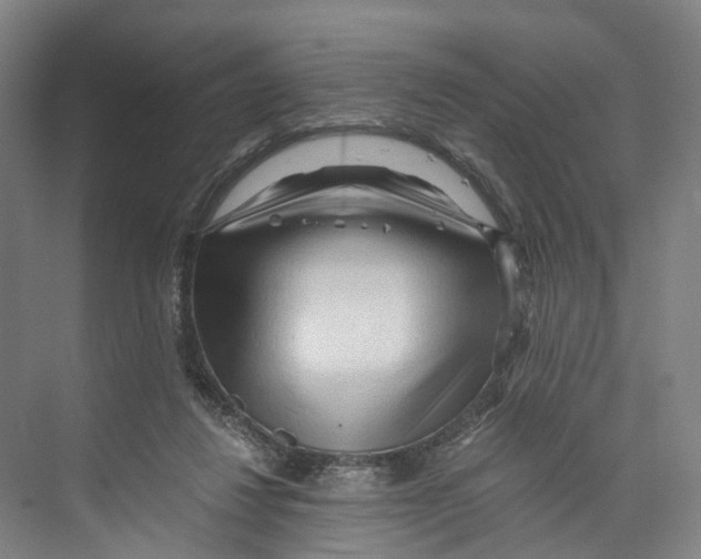 X0000073980260200609181724