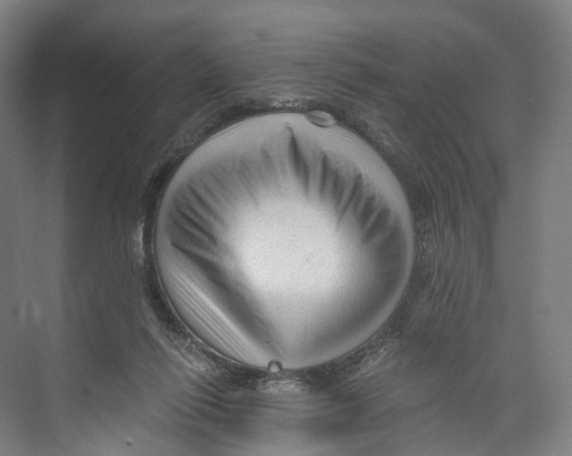 X0000073980262200609181724