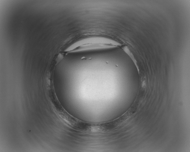 X0000073980264200609181724