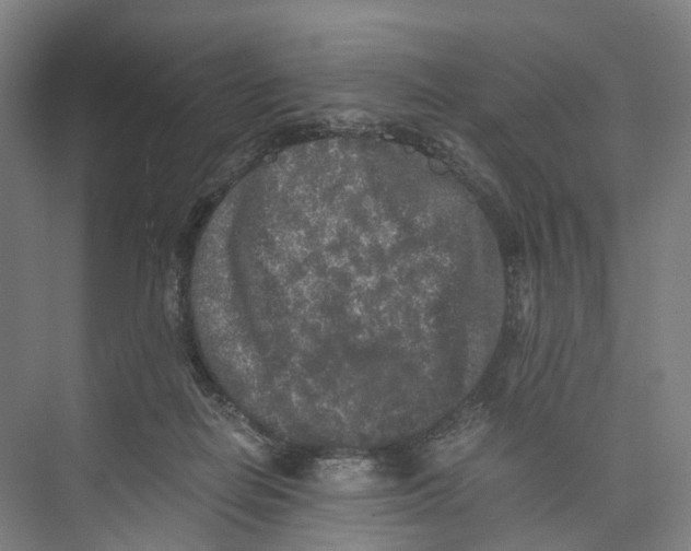 X0000073980266200609181724