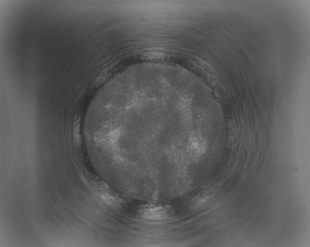 X0000073980267200609181724