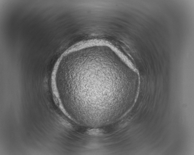 X0000073980269200609181724