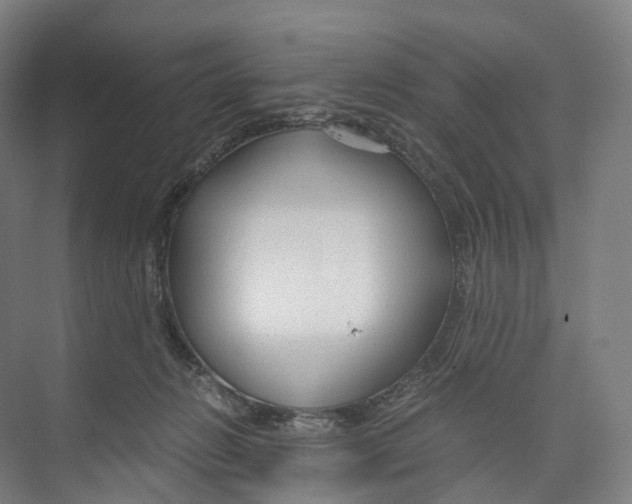 X0000073980270200609181724