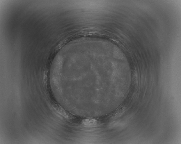 X0000073980271200609181724