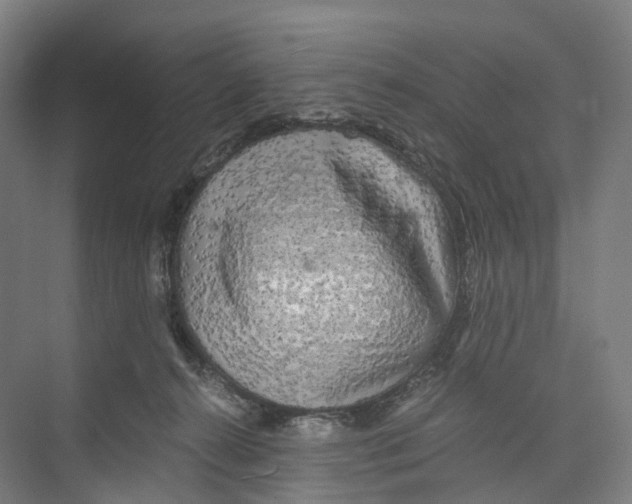 X0000073980272200609181724