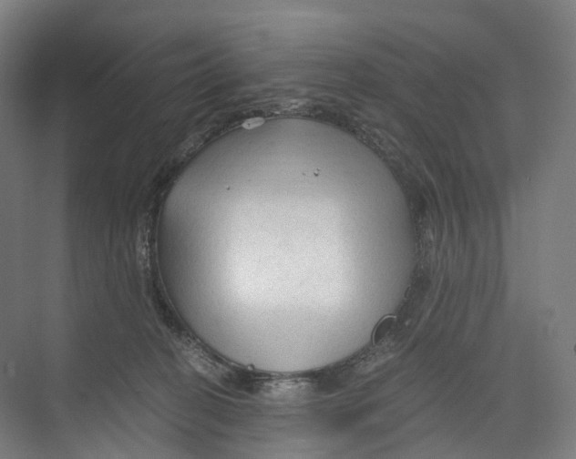 X0000073980274200609181724