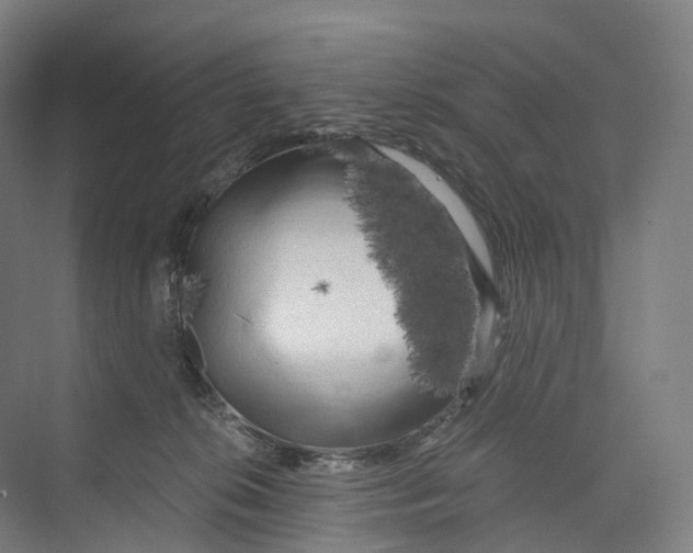 X0000073980276200609181724