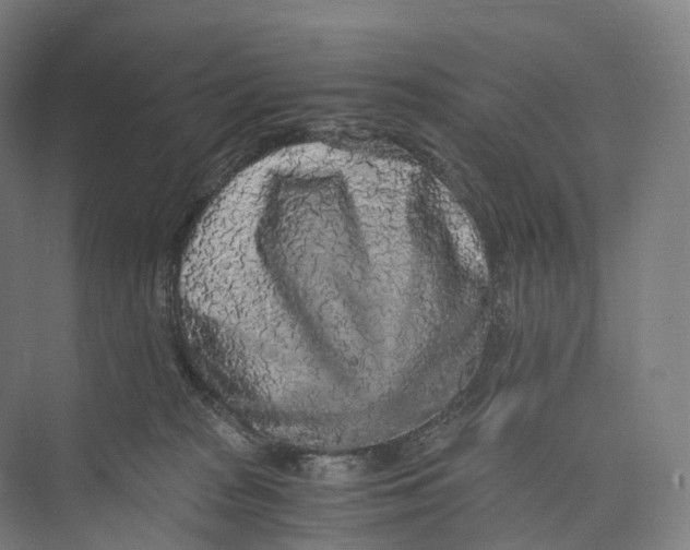 X0000073980277200609181724