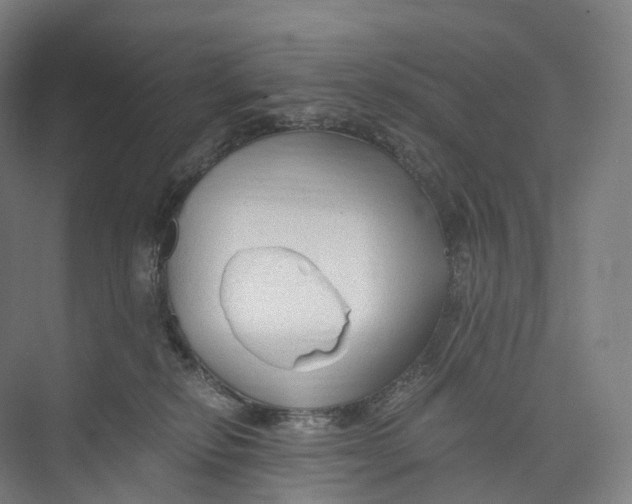 X0000073980278200609181724