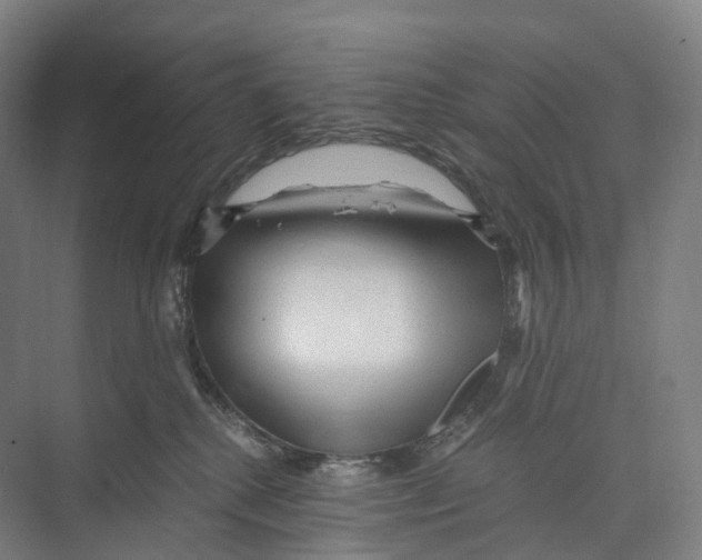 X0000073980280200609181724