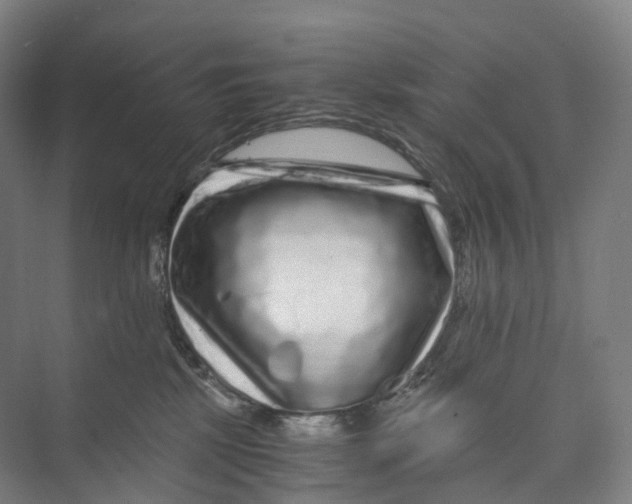 X0000073980281200609181724