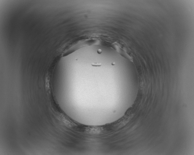 X0000073980282200609181724