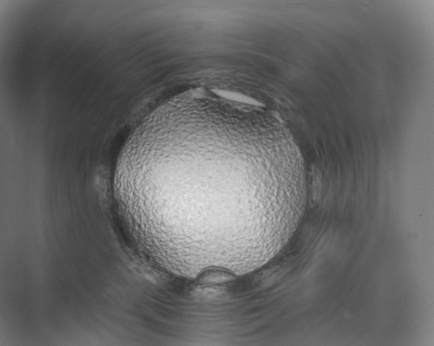 X0000073980283200609181724