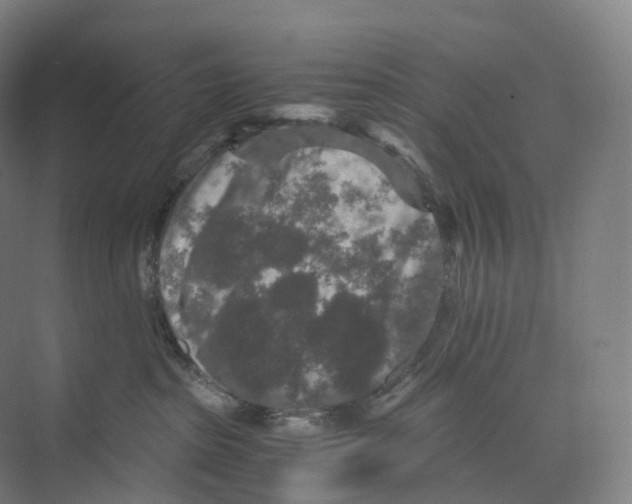 X0000073980285200609181724