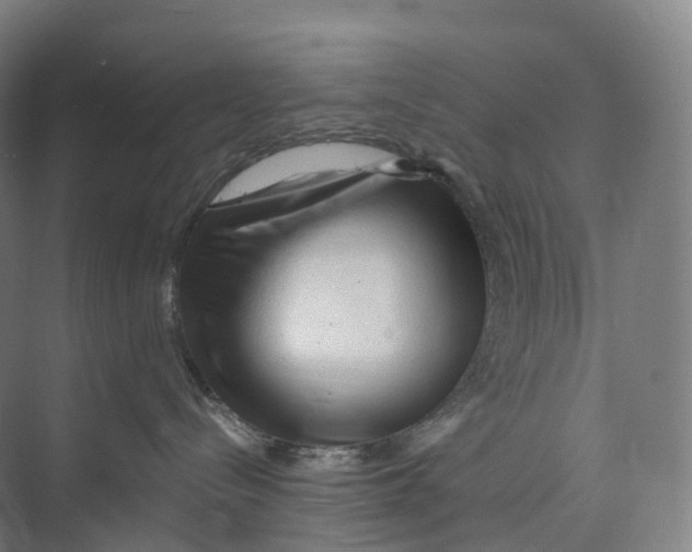 X0000073980288200609181724