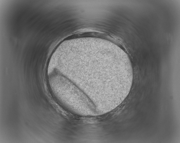 X0000073980289200609181724