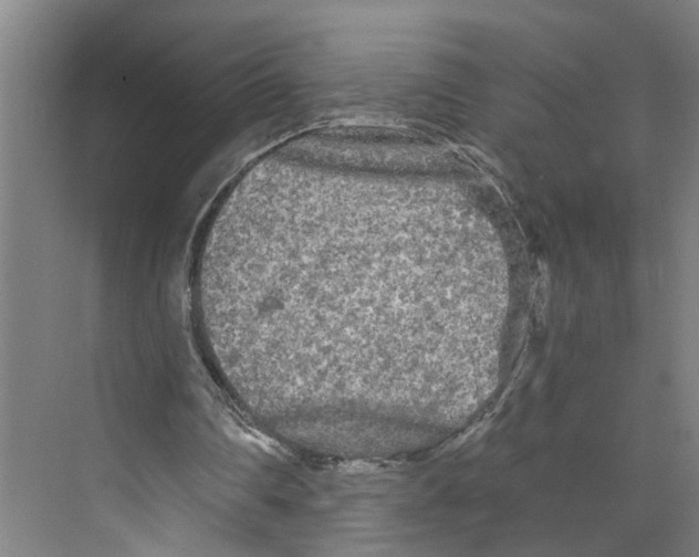 X0000073980290200609181724