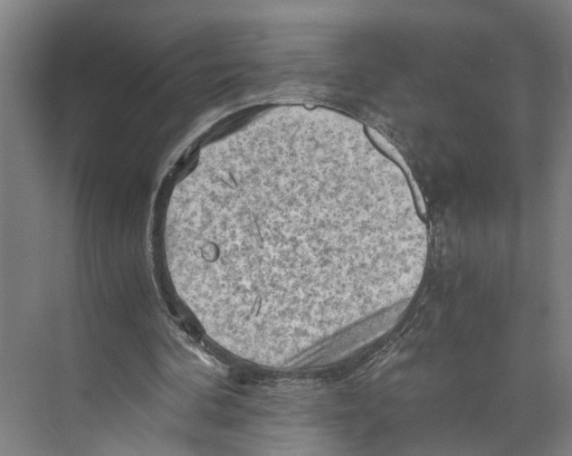 X0000073980292200609181723