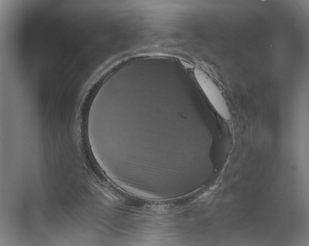 X0000073980295200609181723