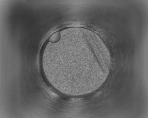 X0000073980296200609181723