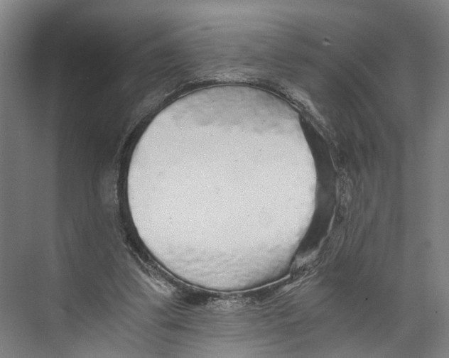 X0000073980299200609181723