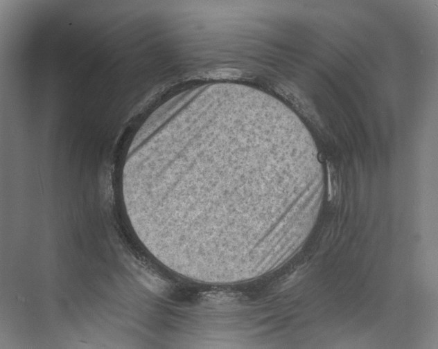 X0000073980300200609181723