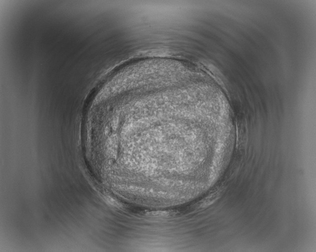 X0000073980301200609181723