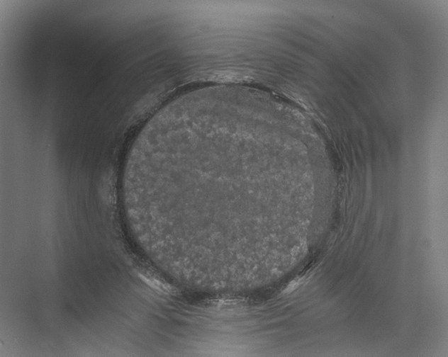 X0000073980303200609181723