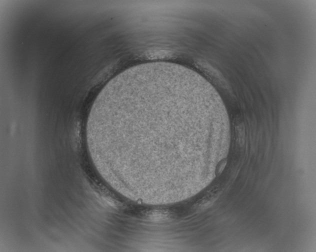 X0000073980308200609181723