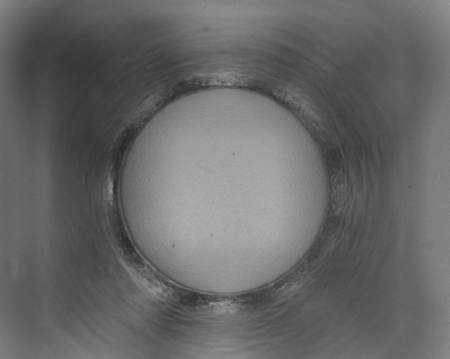 X0000073980310200609181723