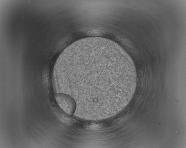 X0000073980312200609181723