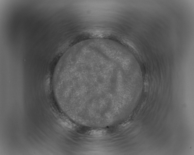 X0000073980314200609181723