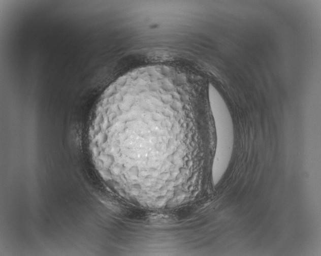 X0000073980315200609181723