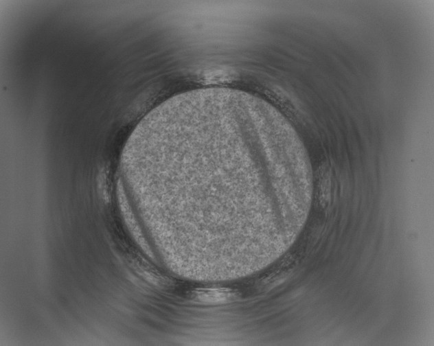 X0000073980316200609181723