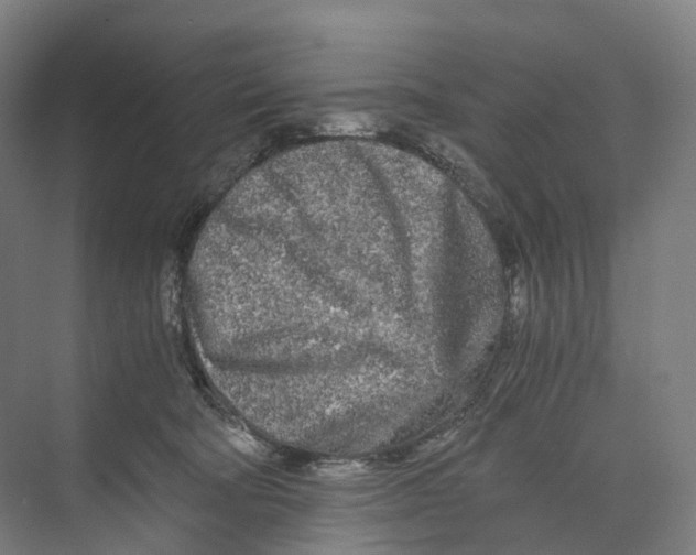 X0000073980322200609181723