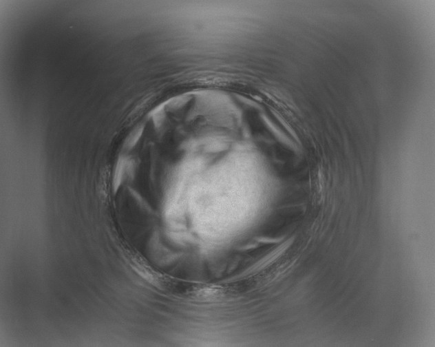 X0000073980325200609181723