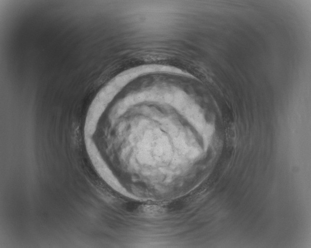 X0000073980327200609181723