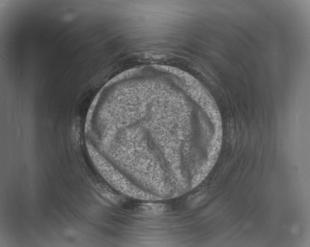 X0000073980328200609181723