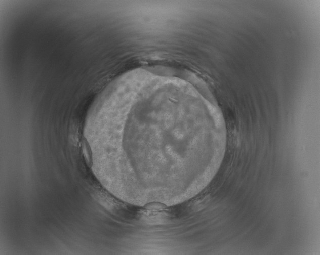 X0000073980331200609181723