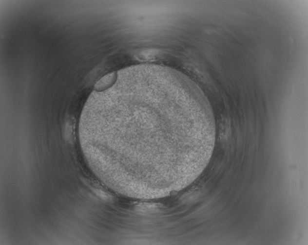 X0000073980332200609181723