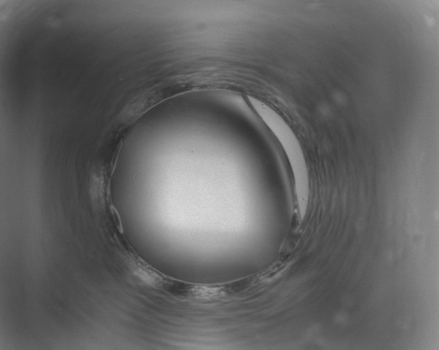 X0000073980333200609181723