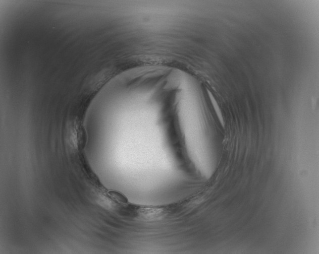 X0000073980334200609181723