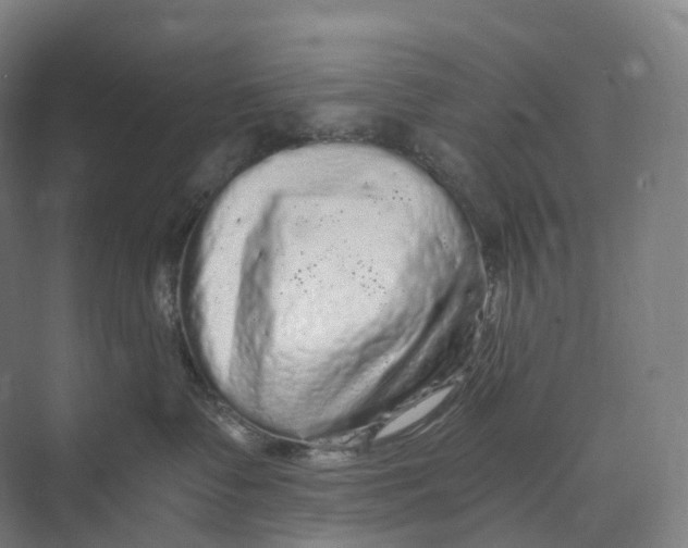 X0000073980335200609181723