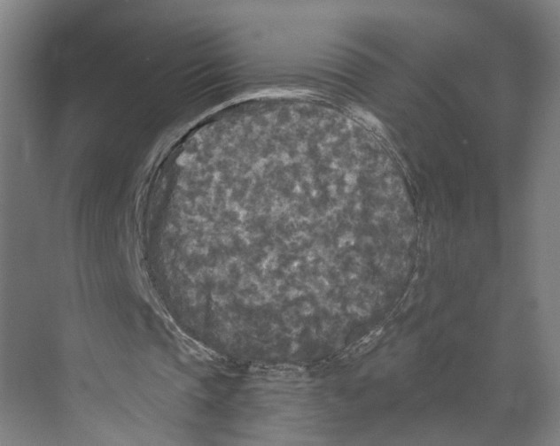 X0000073980337200609181722